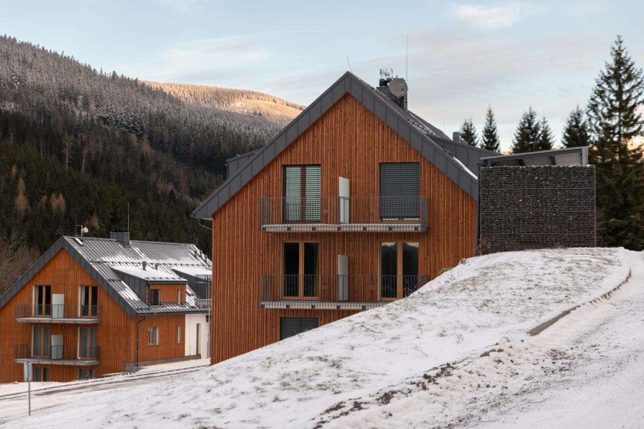 Apartmán Pod Sněžníkem Dolní Morava Esterno foto