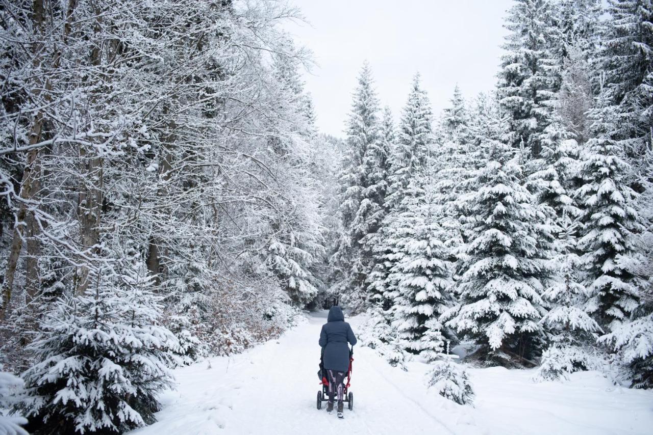 Apartmán Pod Sněžníkem Dolní Morava Esterno foto